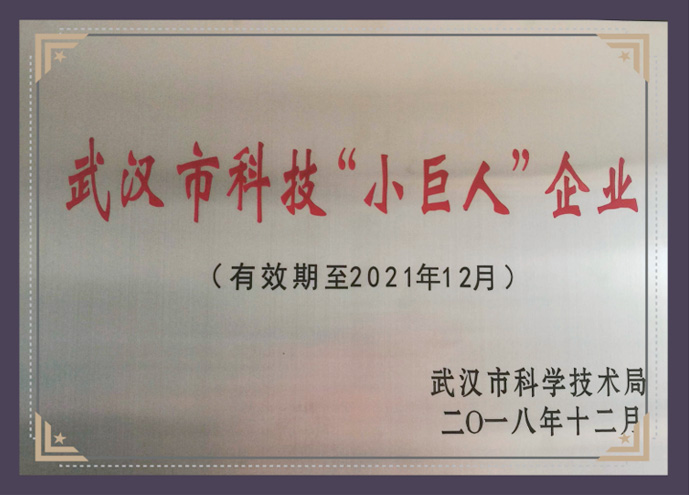 武汉市科技小巨人企业
